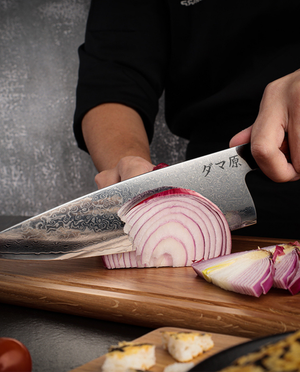 Gyuto Knife - Renshu Series
